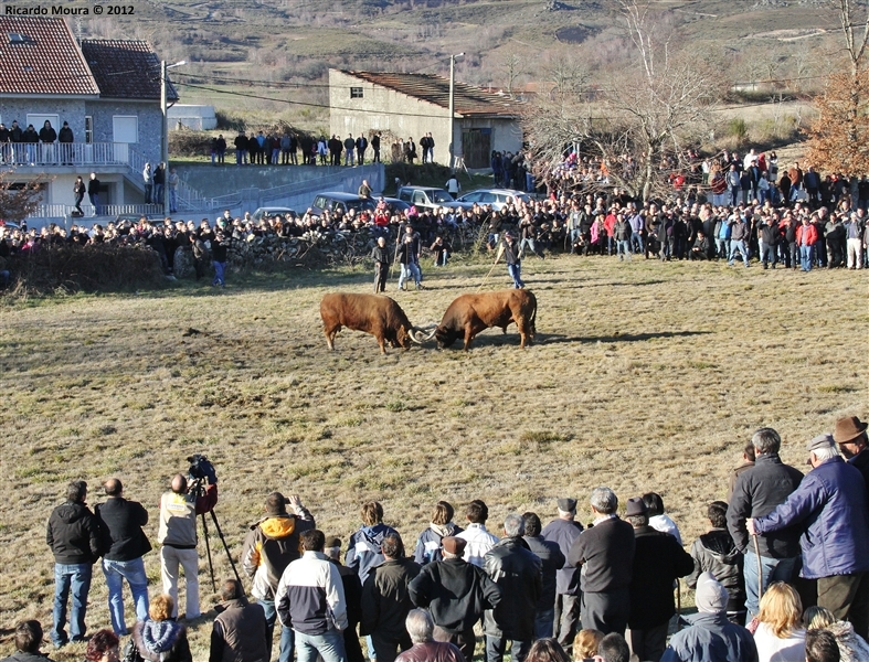 XXI Feira do Fumeiro - Chegas de Bois