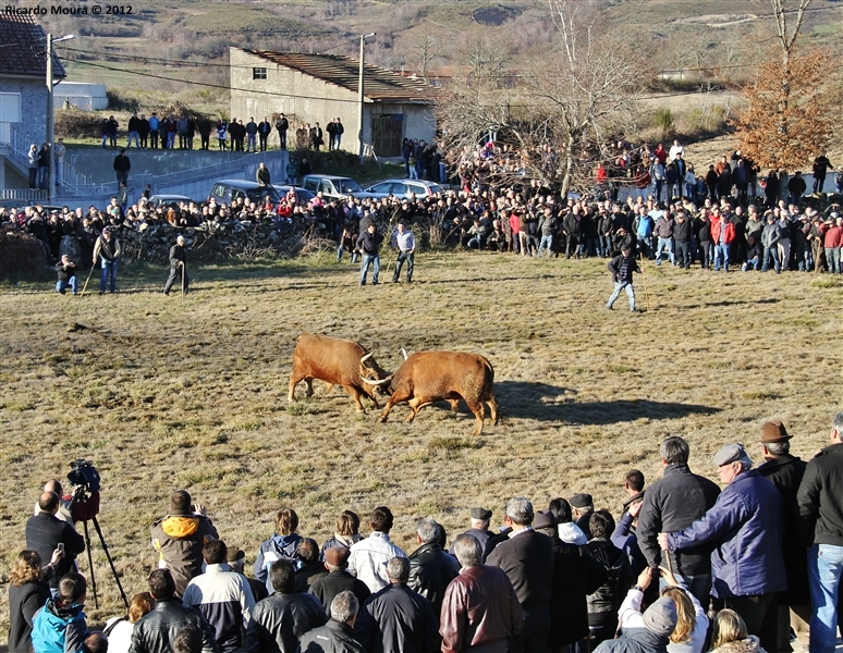 XXI Feira do Fumeiro - Chegas de Bois