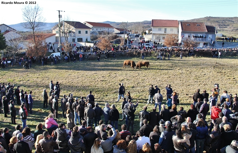 XXI Feira do Fumeiro - Chegas de Bois