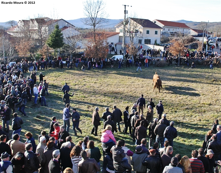 XXI Feira do Fumeiro - Chegas de Bois