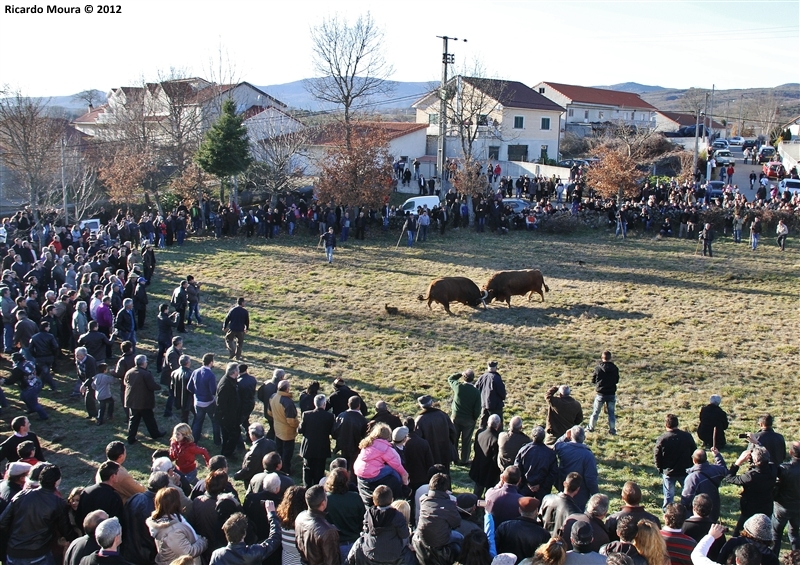 XXI Feira do Fumeiro - Chegas de Bois