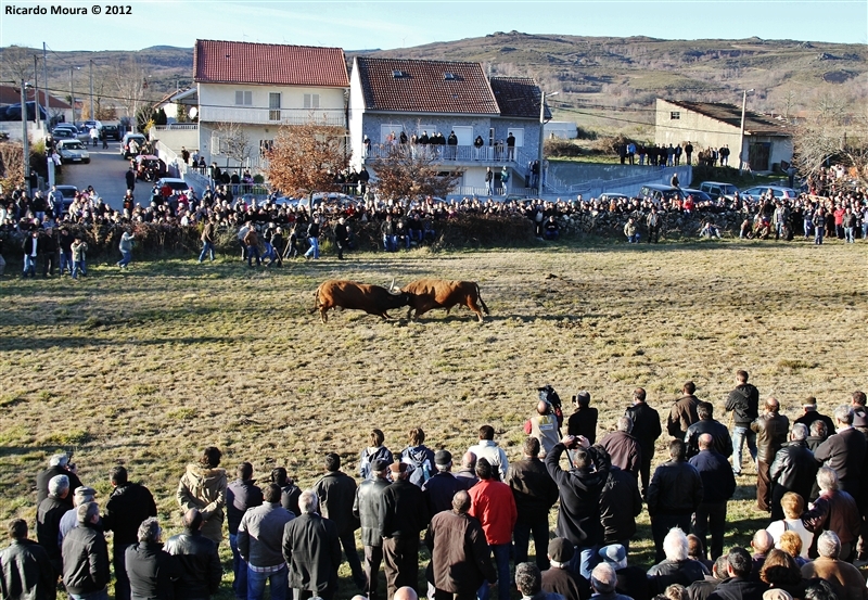 XXI Feira do Fumeiro - Chegas de Bois