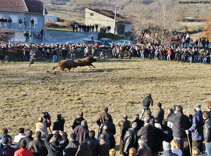 XXI Feira do Fumeiro - Chegas de Bois