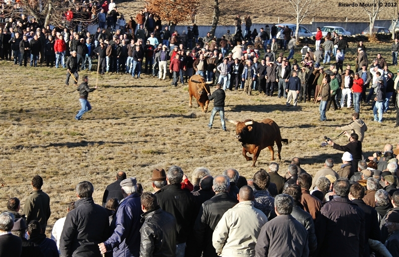 XXI Feira do Fumeiro - Chegas de Bois
