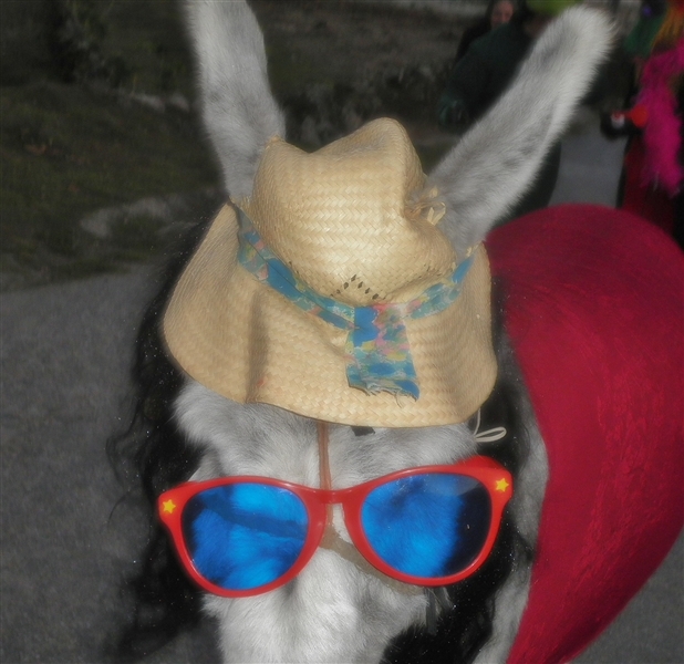 Carnaval 2012 em Sabuzedo