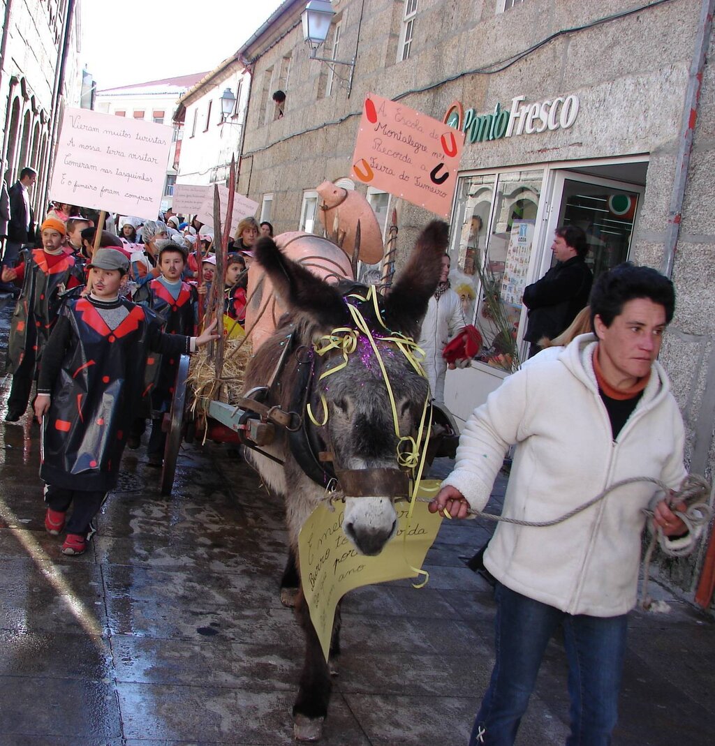 Desfile de Carnaval das Escolas de Montalegre