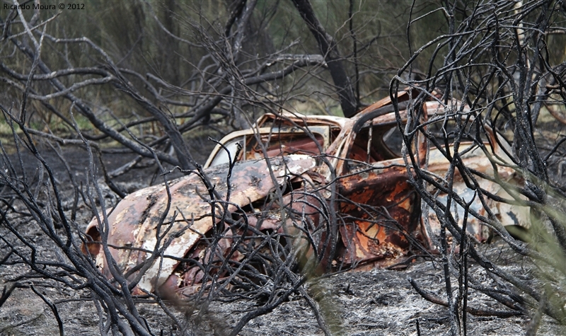 Mais de 150 hectares ardidos