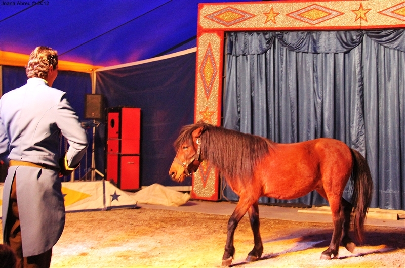Crianças do concelho foram ao circo