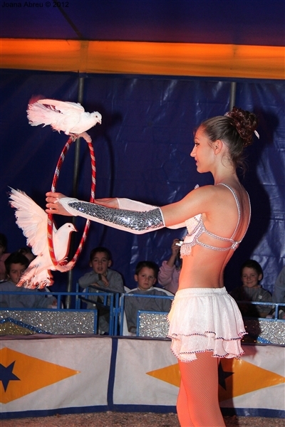 Crianças do concelho foram ao circo