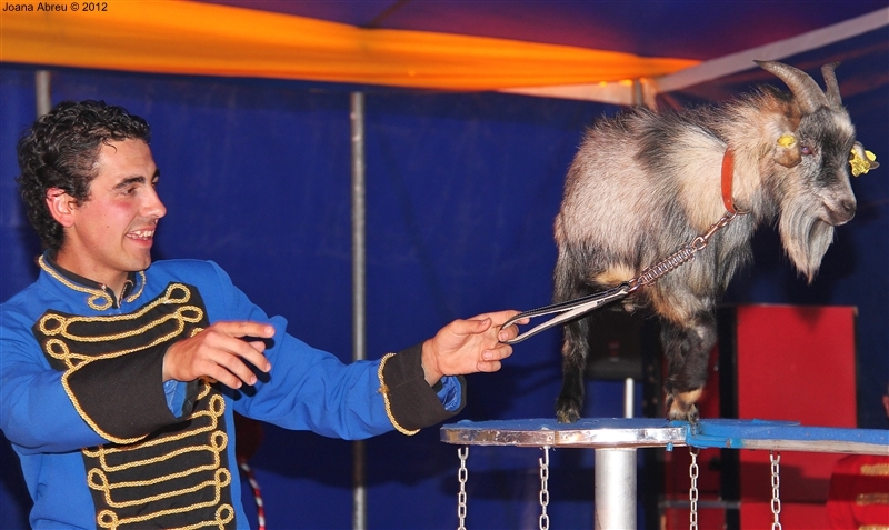 Crianças do concelho foram ao circo