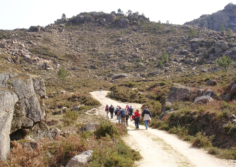 Mais de mil árvores plantadas no Gerês (2012)
