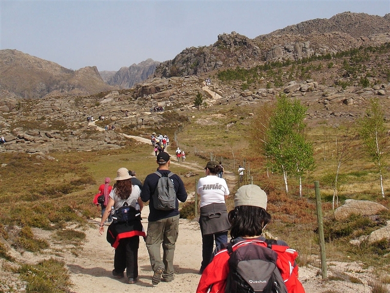 Mais de mil árvores plantadas no Gerês (2012)