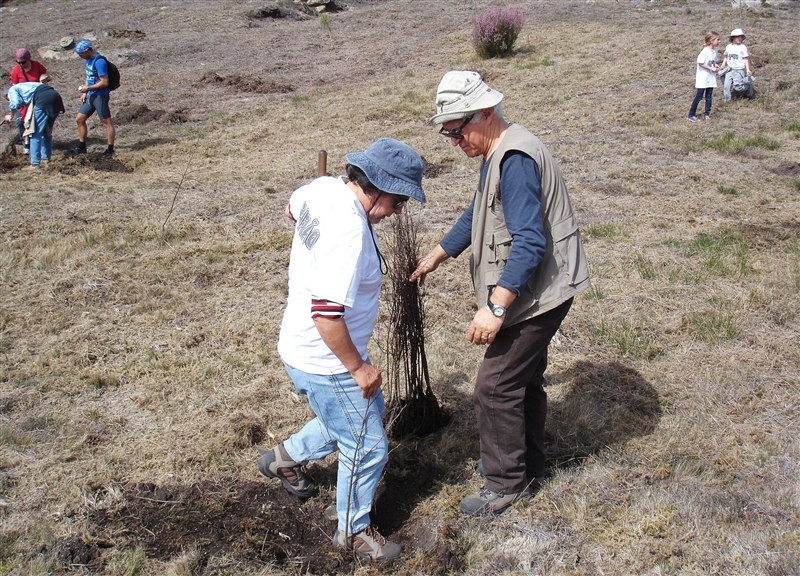 Mais de mil árvores plantadas no Gerês (2012)