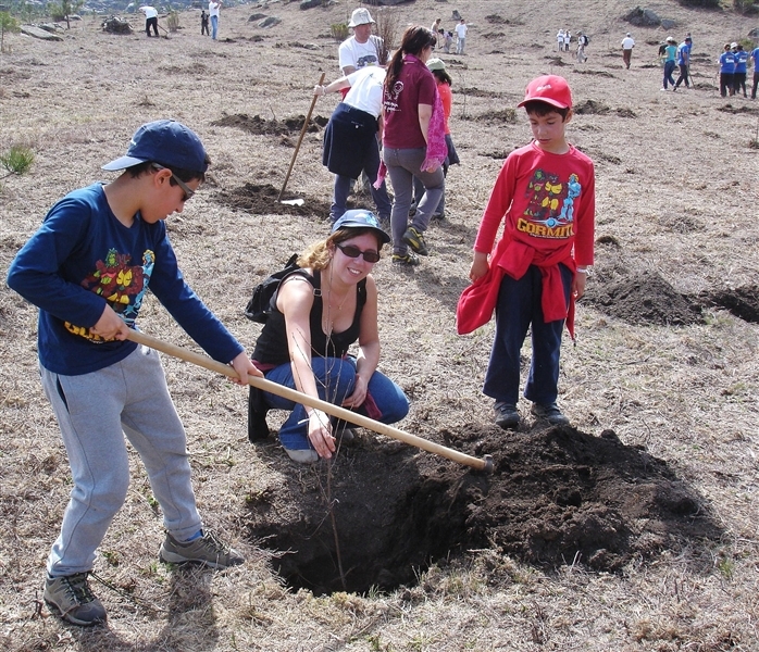 Mais de mil árvores plantadas no Gerês (2012)