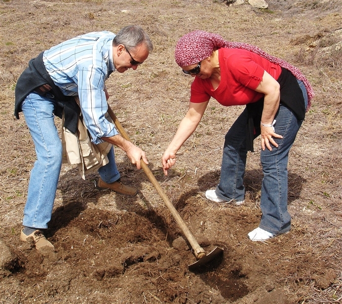 Mais de mil árvores plantadas no Gerês (2012)