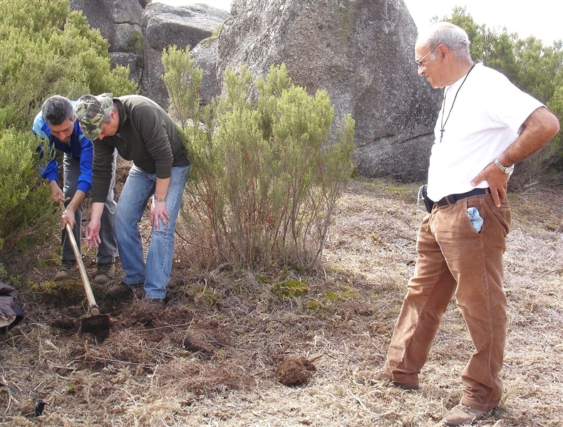 Mais de mil árvores plantadas no Gerês (2012)
