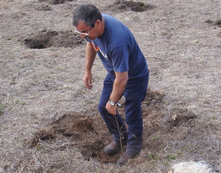 Mais de mil árvores plantadas no Gerês (2012)