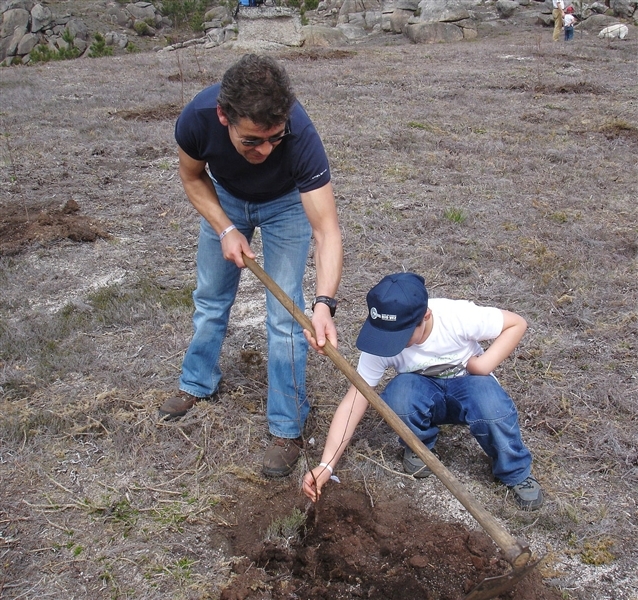 Mais de mil árvores plantadas no Gerês (2012)