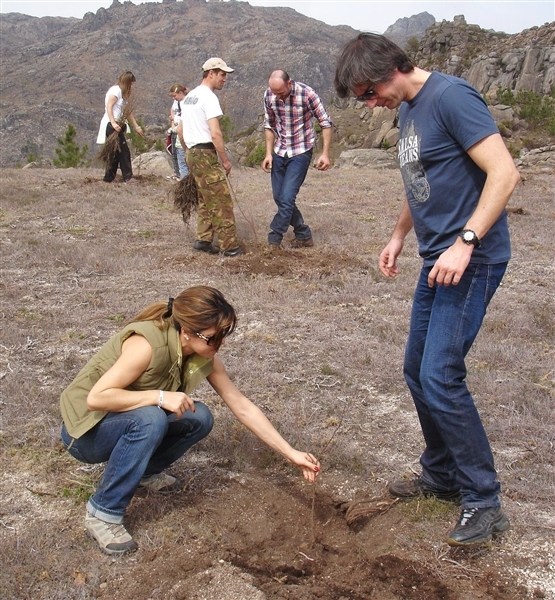 Mais de mil árvores plantadas no Gerês (2012)