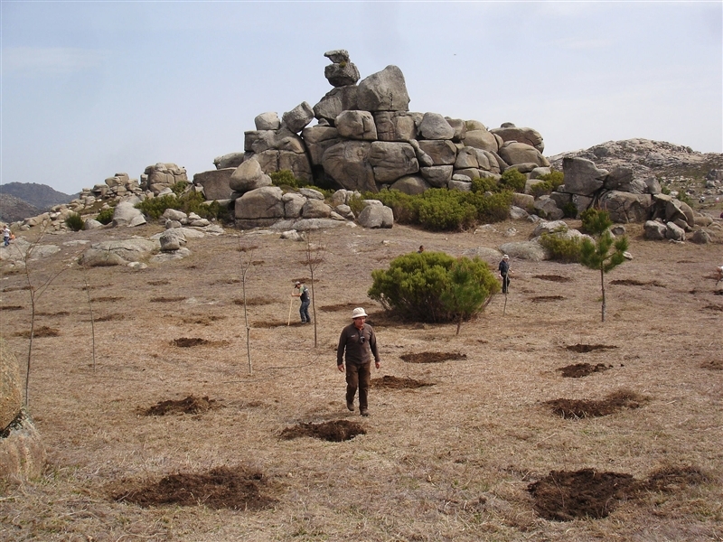Mais de mil árvores plantadas no Gerês (2012)
