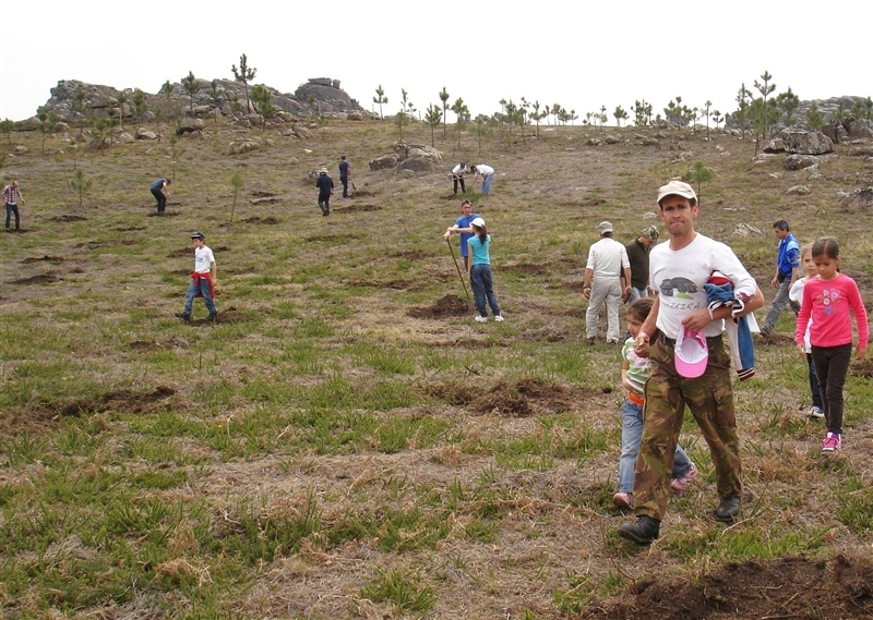 Mais de mil árvores plantadas no Gerês (2012)