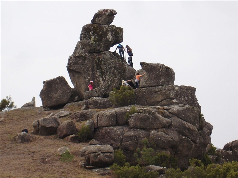 Mais de mil árvores plantadas no Gerês (2012)
