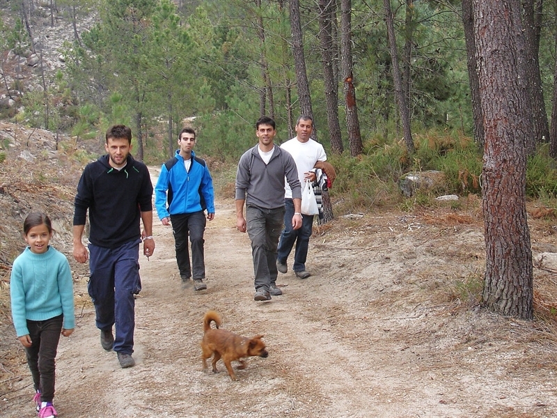 Mais de mil árvores plantadas no Gerês (2012)