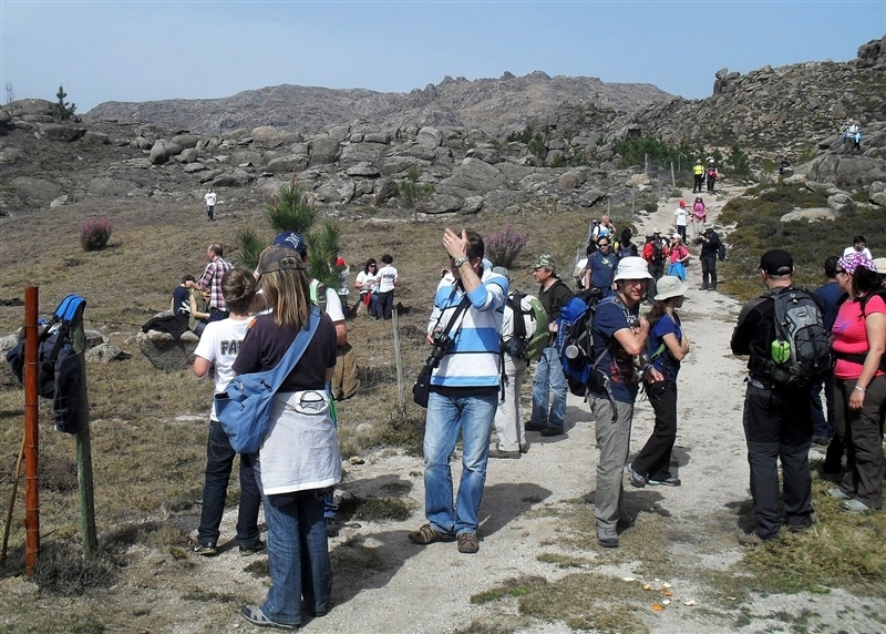 Mais de mil árvores plantadas no Gerês (2012)