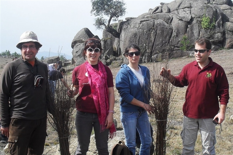 Mais de mil árvores plantadas no Gerês (2012)