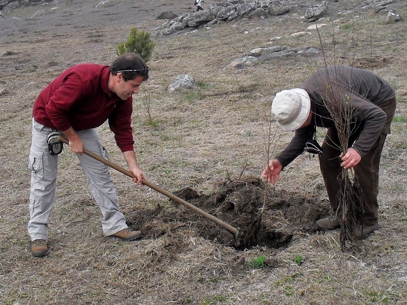Mais de mil árvores plantadas no Gerês (2012)