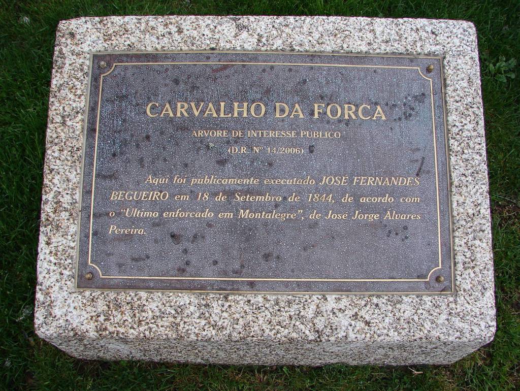 Carvalho da Forca: 