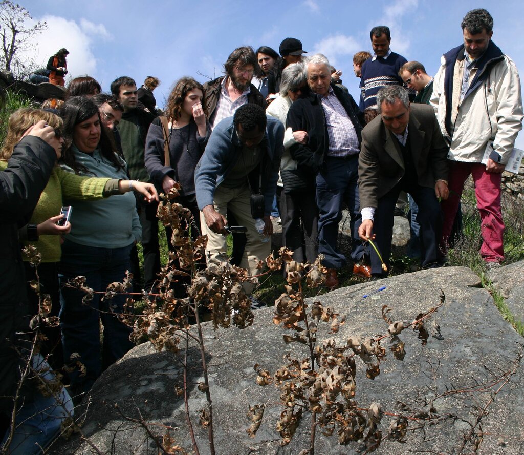 MONTALEGRE - III Jornadas Transmontanas de Arqueologia (Fotos)