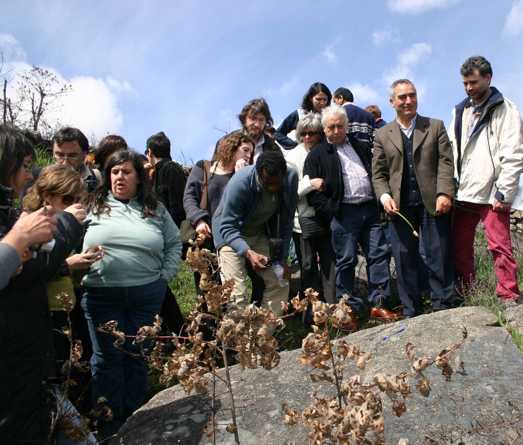 MONTALEGRE - III Jornadas Transmontanas de Arqueologia (Fotos)