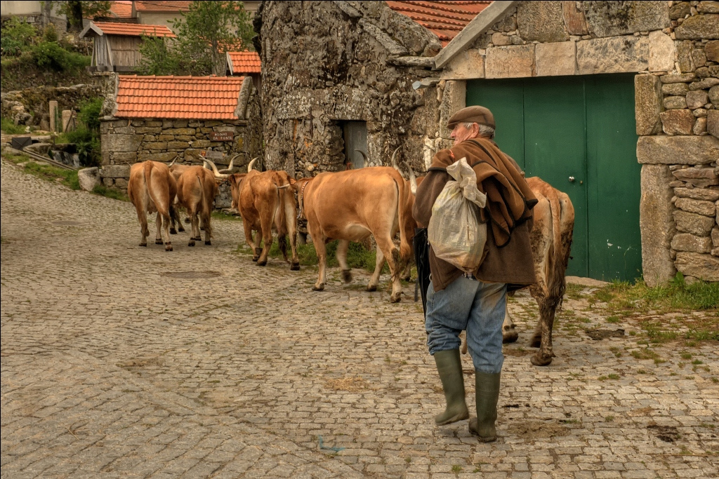 &quot;Montalegre por olhos de fora...e de dentro&quot;