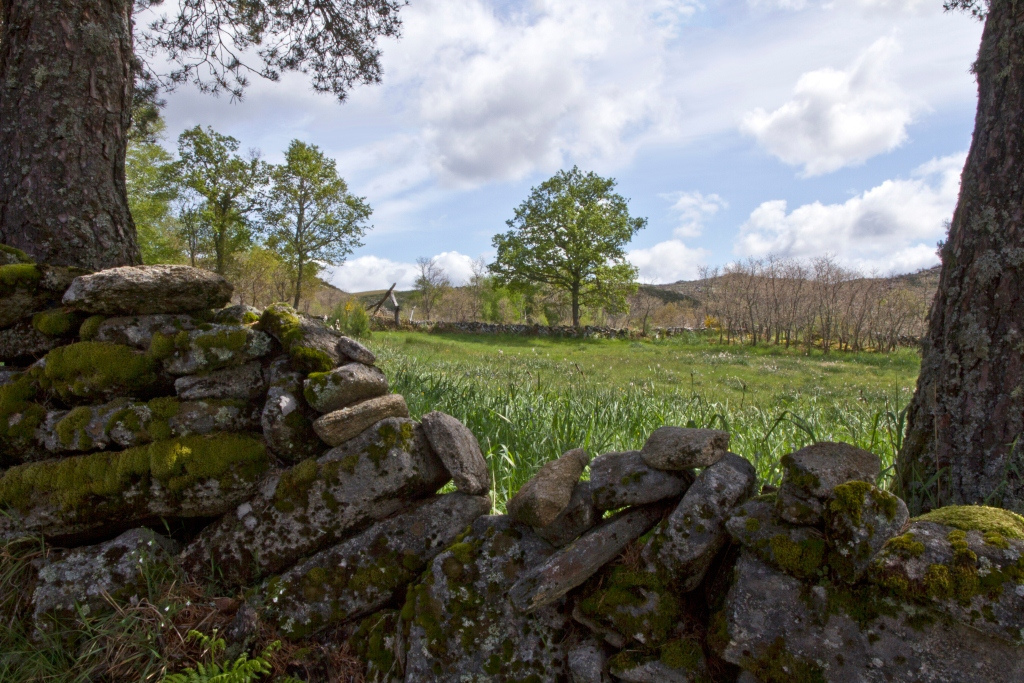 &quot;Montalegre por olhos de fora...e de dentro&quot;