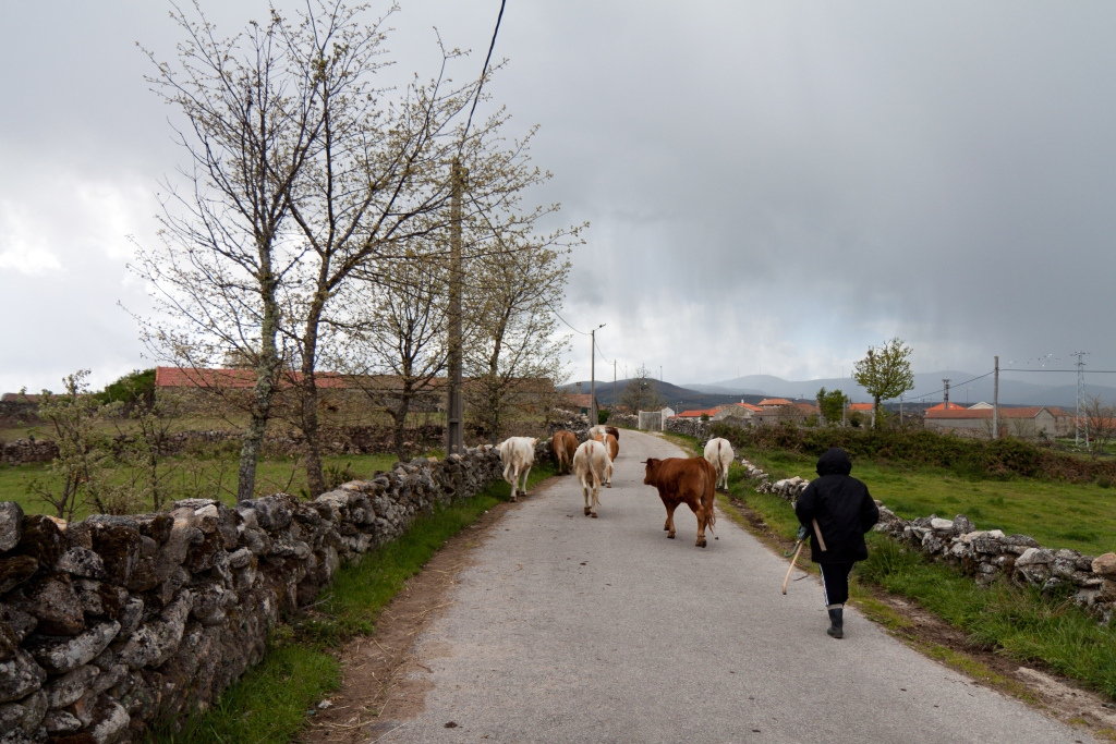 &quot;Montalegre por olhos de fora...e de dentro&quot;