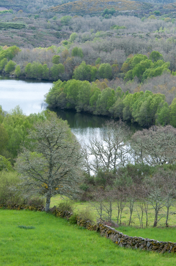 &quot;Montalegre por olhos de fora...e de dentro&quot;