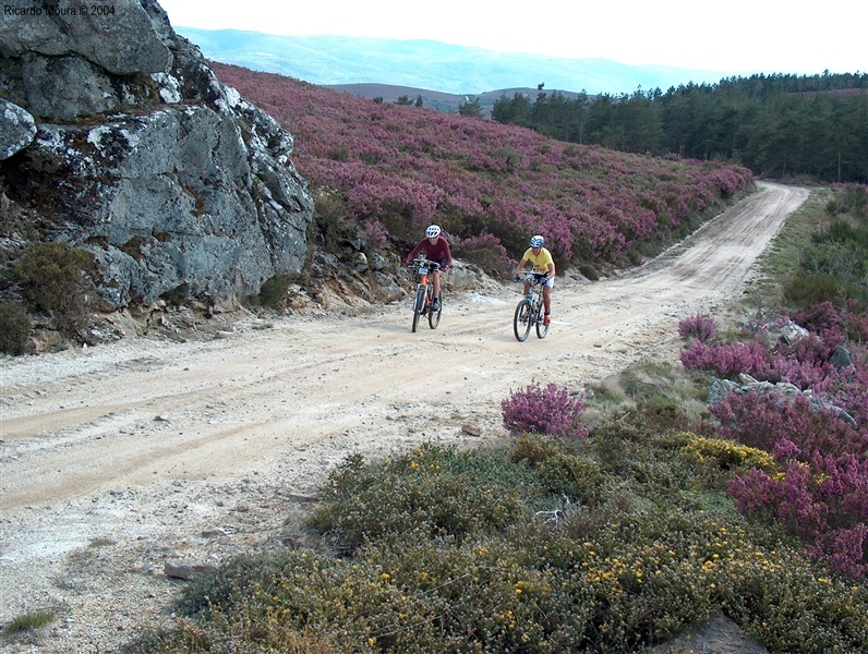 Mundial Orientação BTT - 11 a 18 Julho