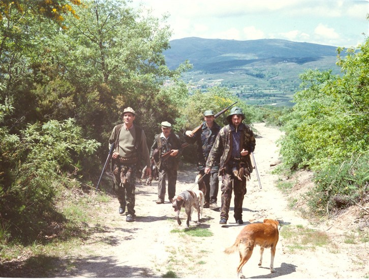 Aprovado plano de exploração anual da Zona de Caça Municipal Montalegre