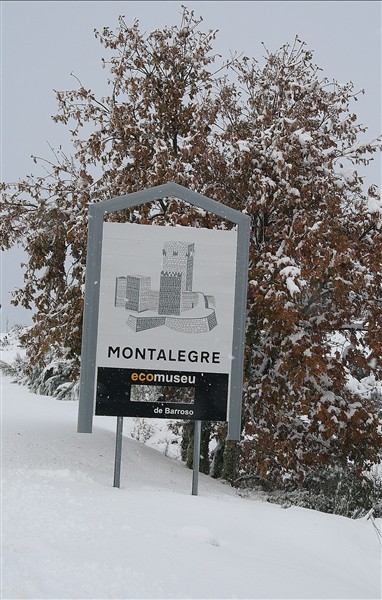 Neve em Montalegre II