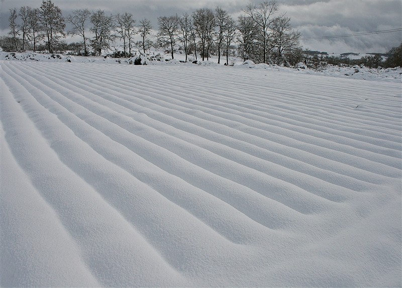Neve em Montalegre II