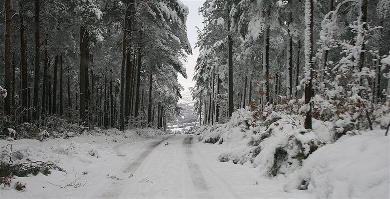 Neve em Montalegre II