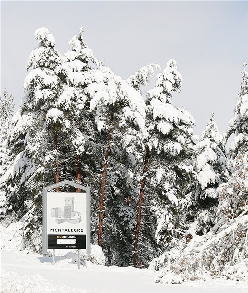 Neve em Montalegre II