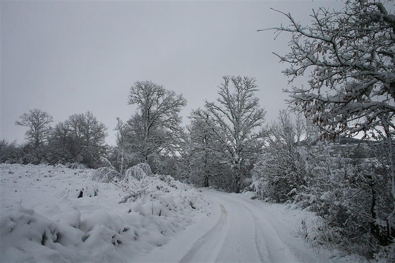 Neve em Montalegre II