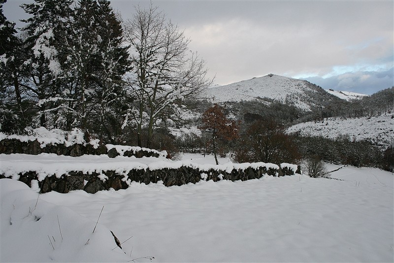 Neve em Montalegre II
