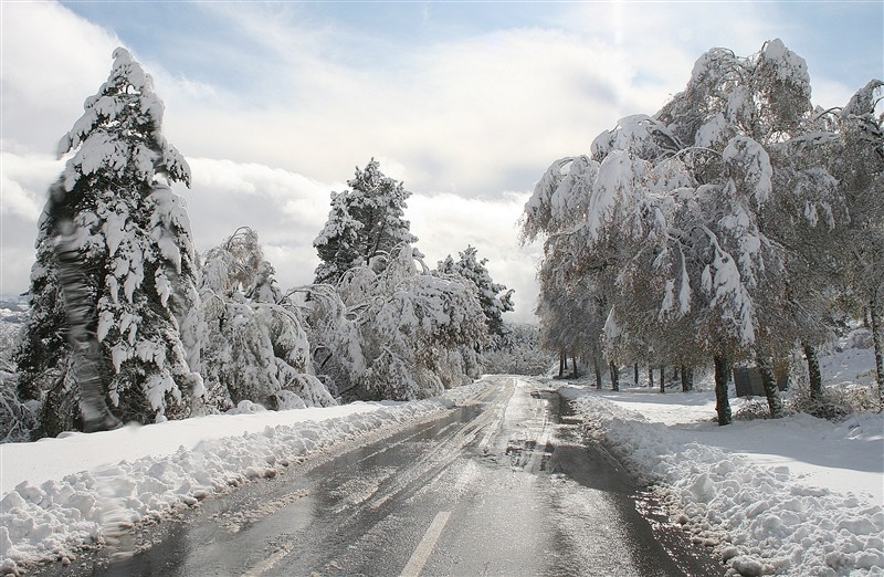 Neve em Montalegre II