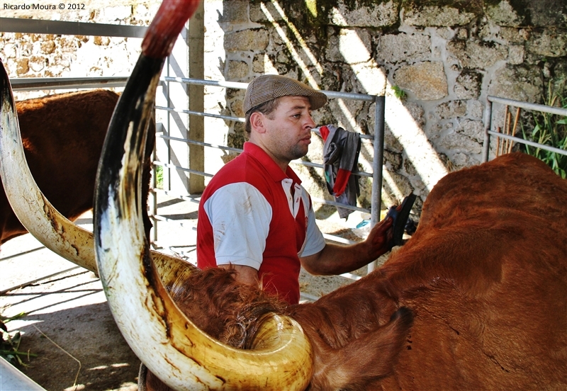 Montalegre - Feira do Prémio 2012