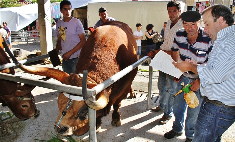 Montalegre - Feira do Prémio 2012