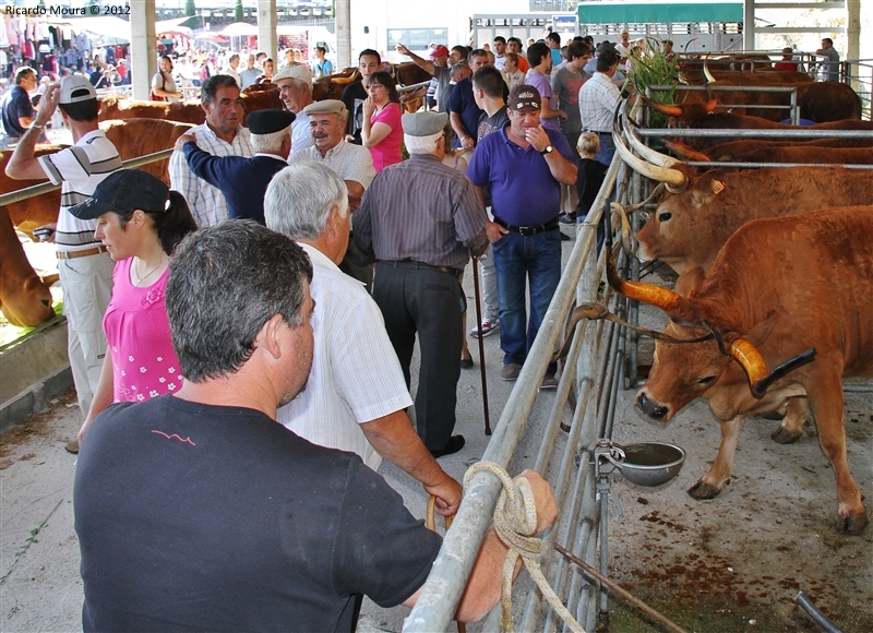 Montalegre - Feira do Prémio 2012