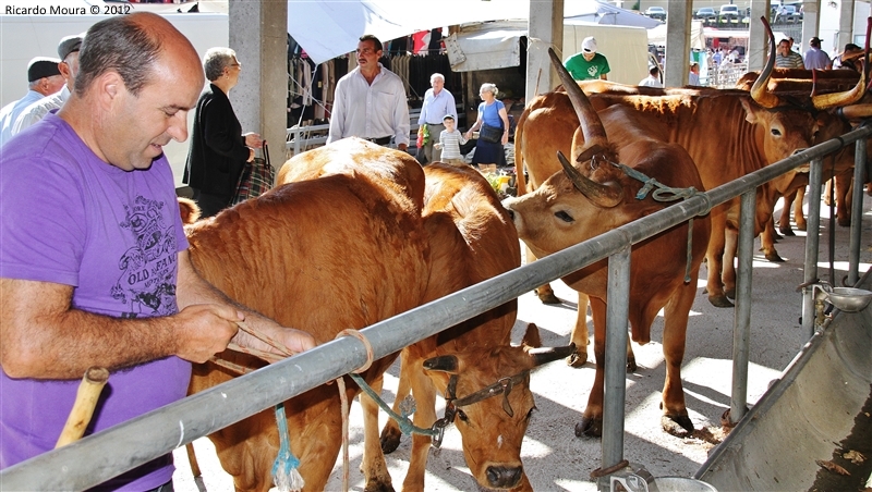 Montalegre - Feira do Prémio 2012